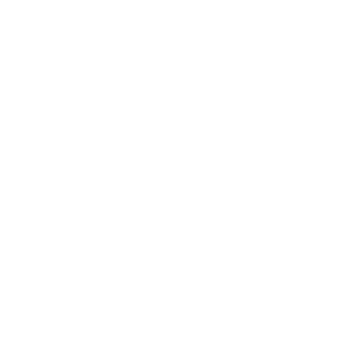 Bruneca Emagrecimento